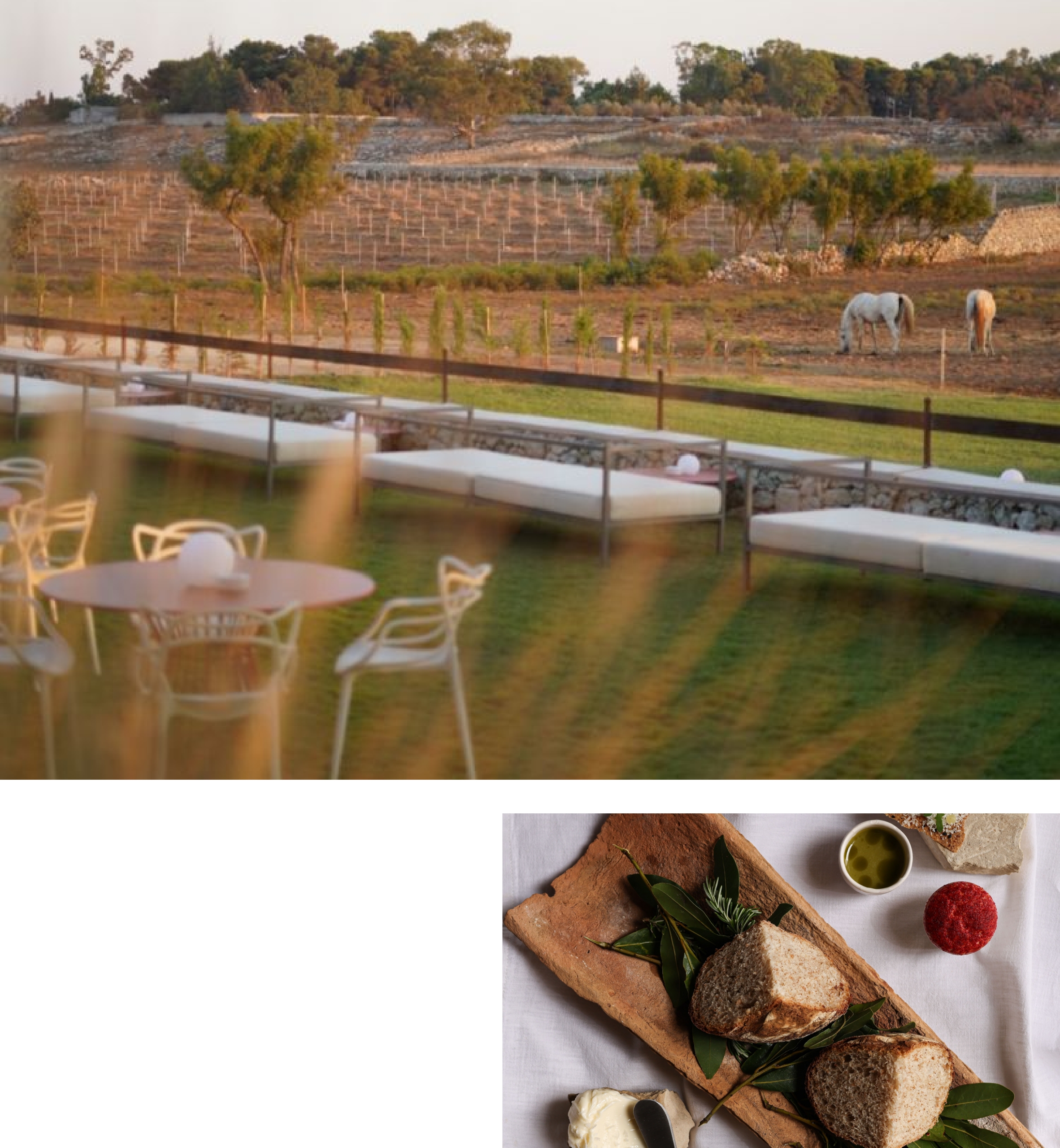 Relax nel giardino della Masseria Francescani con vista sui cavalli e pane artigianale su tagliere con prodotti locali